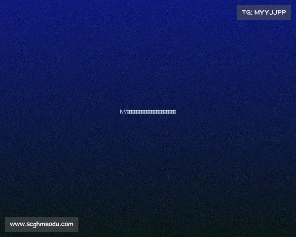 NV战队王牌装备揭秘:打造冠军背后的神兵利器 NV战队王牌装备揭秘:打造冠军背后的神兵利器