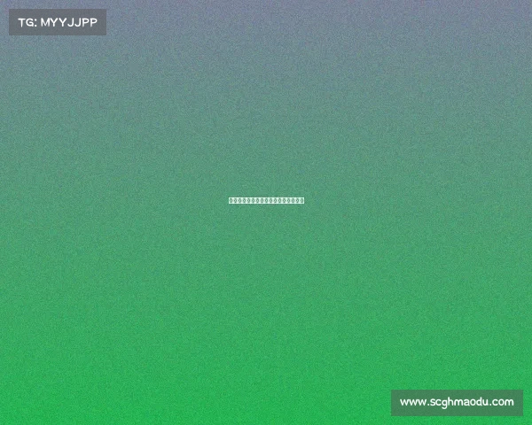 《一文掌握电子竞技证书申请全流程》