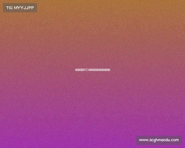 《破晓荣光：VC战队春日记，同心共战铸新章》