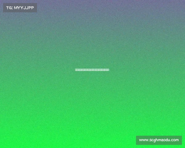 天霸电竞军团:从明星投资到问鼎巅峰的荣耀征程