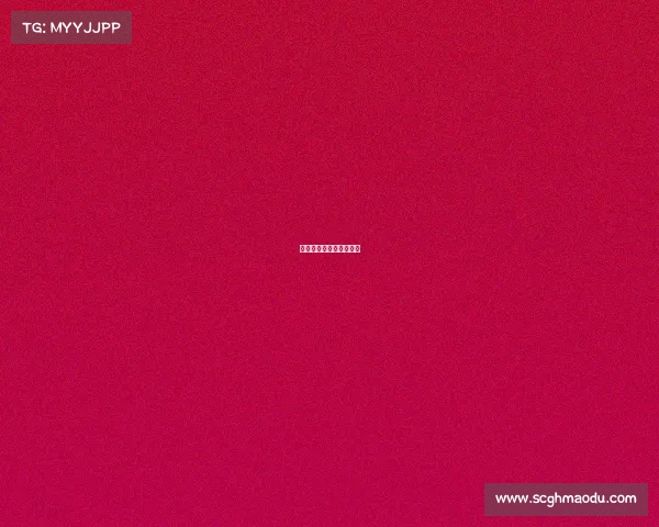 狼啸战场战歌破晓启新程