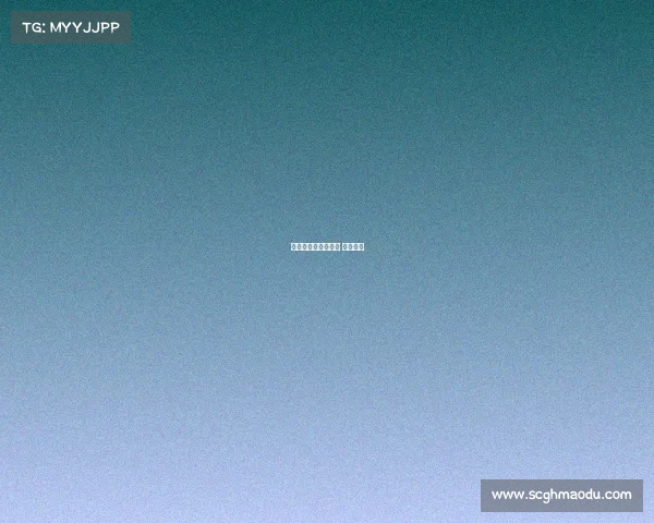 青游电子竞技工作室 青浼电竞 青游电子竞技工作室 青浼电竞